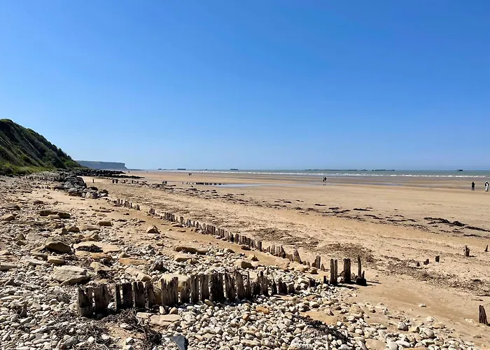 La Comete By Melrose